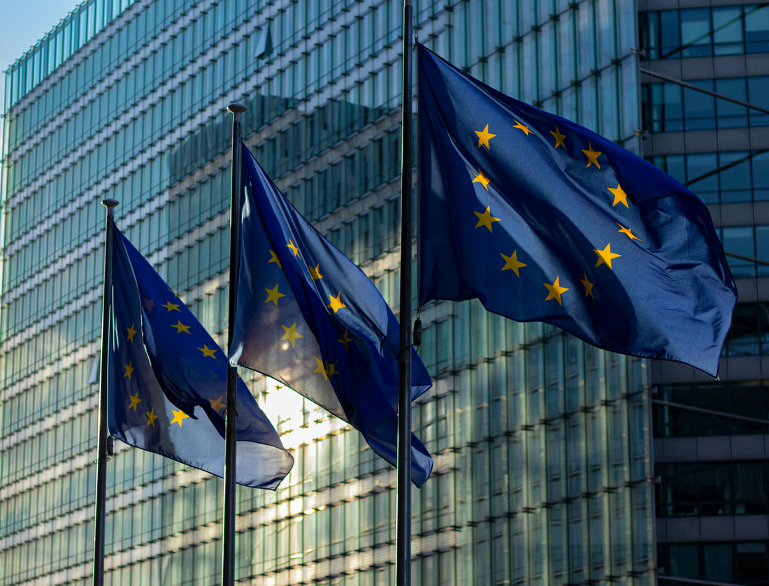 European Authorised Representative under GPSR