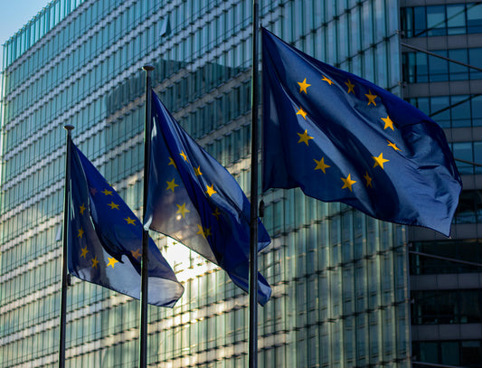 European Authorised Representative under GPSR